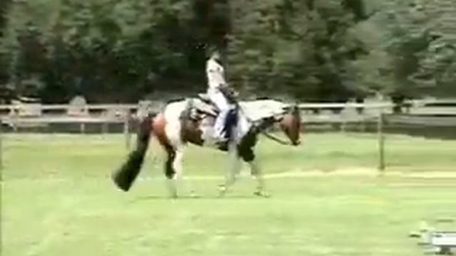 My Hot Investment смотреть онлайн