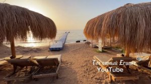 Сафир Шарм Эль Шейх. Подробный обзор отеля Safir Sharm. Плюсы и минусы отдыха в отеле.