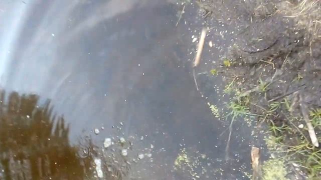 Зариблення пруда смотреть онлайн