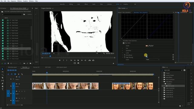 Adobe Premiere Pro CC Tutorial in Telugu | Premiere Pro Tutorial | Skin Touchup | Hola Tv смотреть онлайн