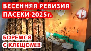 ВЕСЕННЯЯ РЕВИЗИЯ ПАСЕКИ 2025