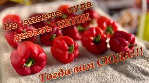 БОЛГАРСКИЙ ПЕРЕЦ!!! ЗАКУСКА НА ВСЕ 100%.