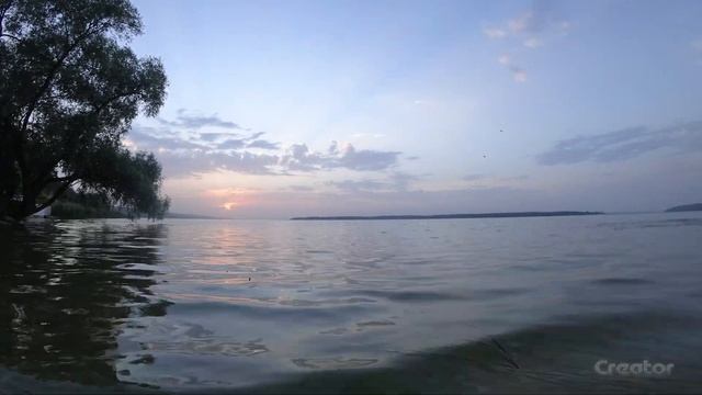 Ранковий дзен у Комарівці 4К смотреть онлайн