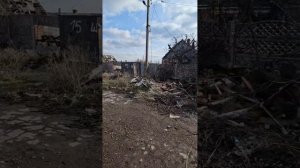 Зарисовки Доктора Барс27. Бахмут наши дни.результат попадания снаряда в тополь жесть! #СВО