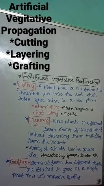 artificial vegetative propagation || reproduction смотреть онлайн