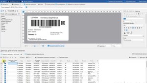 Урок 13_Создание этикеток
