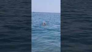 Лоо. Пляж Илоны центра. 3 октября 2023 г.