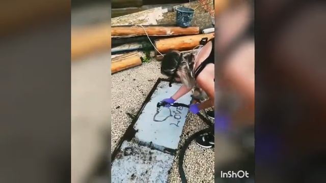 Девушка с плазморезом😎Первый опыт😋 смотреть онлайн