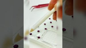 Инкрустация стразами. Чехол для iPhone 14 pro max 🍏