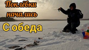 Мороз -23 а мы на рыбалке, ловим окуня!