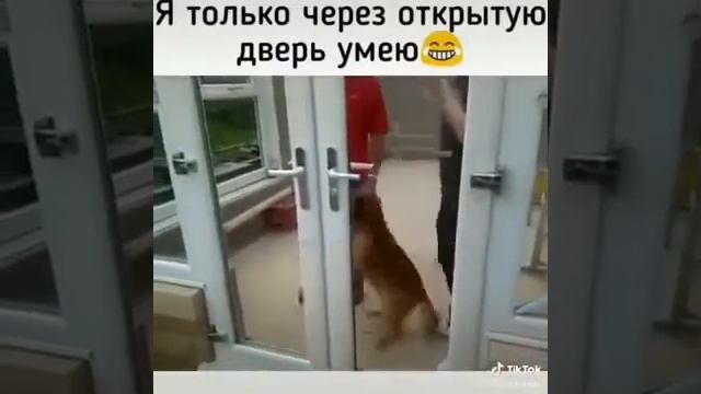 Я только через открытую дверь умею! смотреть онлайн