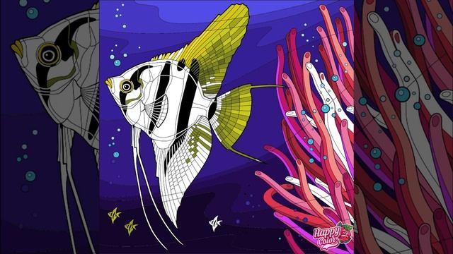 Happy Color The Angelfish Sliced Through The Water With Elegance & Style.