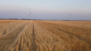 Выращивание оз.ячменя. No-till 19.06.2019. Нормы и сроки внесения азотных удобрений