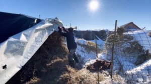 Жизнь в Северном Казахстане