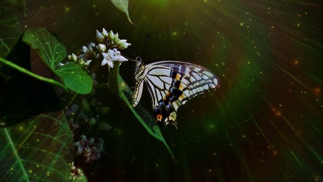 Опытная тётя захомутала молодого паренька… смотреть онлайн