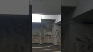 100523 В аэропорт Нижний Новгород Метро Парк Культуры
