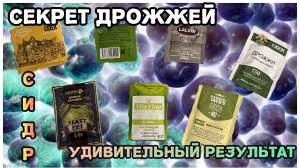 Секрет дрожжей и удивительный результат. Как приготовить необычный сидр из одного сырья!