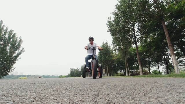 PERRARO ELECTRIC BIKE Trike-1000 Series смотреть онлайн