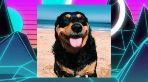 Отпетые мошенники - Девушки бывают разные (speed up)