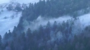 Кто же на самом деле убил Лору Палмер? Твин Пикс - Разгадка тайны (ПЕРЕЗАЛИВ)