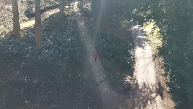 КАМНИ С РИСУНКАМИ ВОЗЛЕ НЕМЕЦКОГО ЗАМКА смотреть онлайн