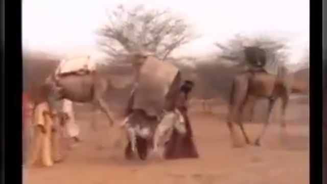 Emmanuel created Abraham movie short video 3 смотреть онлайн