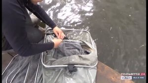 «Рыбацкие байки» 29.05.2020