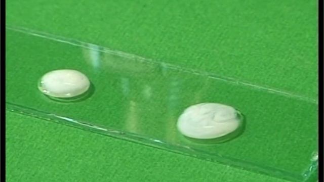 Качественная реакция на хлорид-ион смотреть онлайн