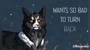 коты воители Остролап