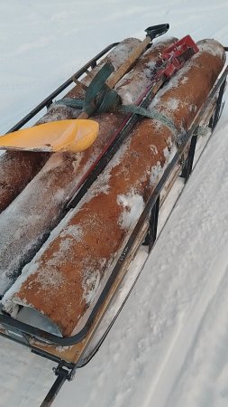 Выехал с леса