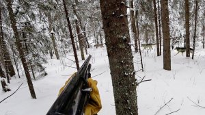 ОХОТА НА ВОЛКА! ЗВЕРЬ ВЫШЕЛ ПРЯМО НА ОХОТНИКА. wolf hunting.