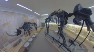 Тюмень. День 4. Мамонт