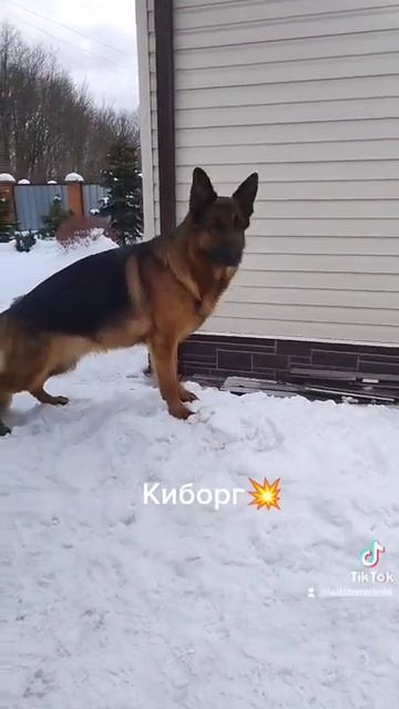 Лайтатурм Дерби смотреть онлайн