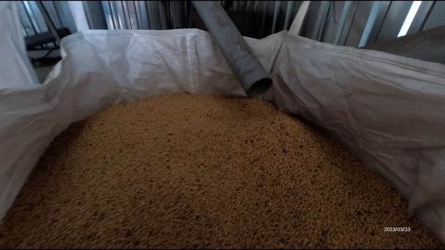 Сортировка сои 2023г смотреть онлайн