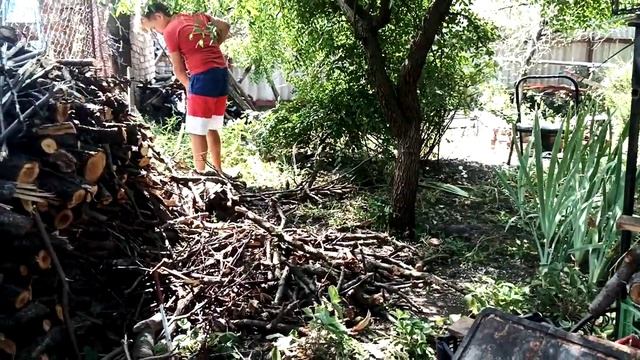 уборка в саду, спиливаем унаби, китайский финик, запасаем дрова для мангала.