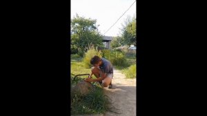 Пытаюсь сломать велосипедный замок#замок#ломать