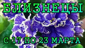 БЛИЗНЕЦЫ таро прогноз на неделю с 17 по 23 МАРТА 2025 года.