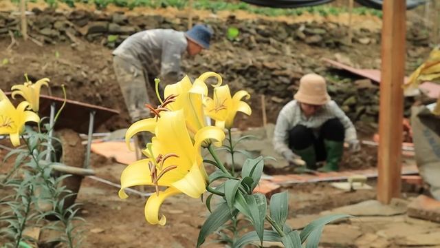 full video of building a new life | build the foundation ... care and harvest ... | live with natur смотреть онлайн