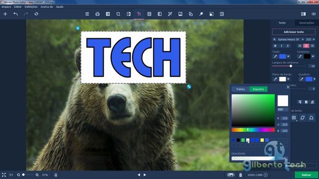 Como colocar efeitos em texto com o Movavi Photo Editor - AULA 03 смотреть онлайн