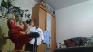 Как стать ниндзя