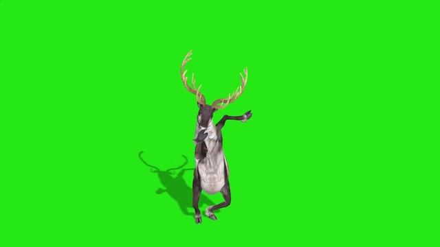 DANCING GREEN SCREEN FOR CHROMAKEY ✅ Грин скрин (green screen effects) 👍 футажи на зелёном фоне смотреть онлайн