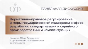 Панельная дискуссия Комитета Совета Федерации по Регламенту и организации парламентской деятельности