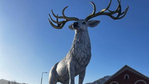 Доброго вечера! 🙏🌹