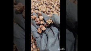 Изготовление сухих лакомств для собак. Компания DennyDogs. Готовим легкое 1*1