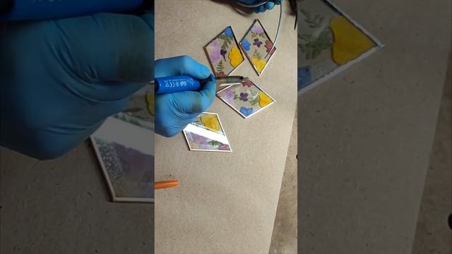 Создание гербария своими руками в витражной технике.