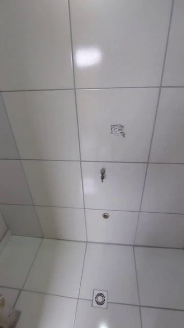 Rejunte cinza platina смотреть онлайн