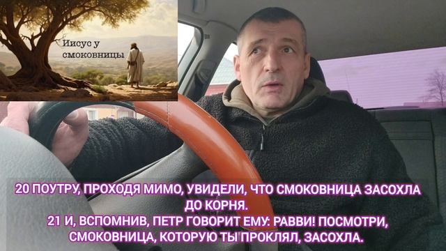 🆘 Проклятие смоковницы ‼️