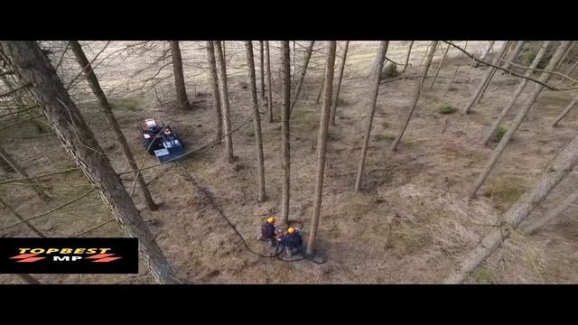 Экстремально быстрая Обрезка-Быстрая валка деревьев!
