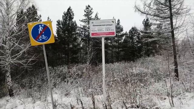 Парк Винновская роща.Прогулка за родниковой водой.Спорт.