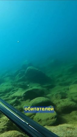Дагестан - родина подводной охоты Подводная охота